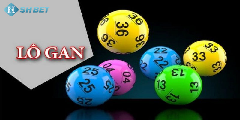 Banner www.tplaw.com.vn