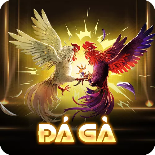 Banner www.tplaw.com.vn