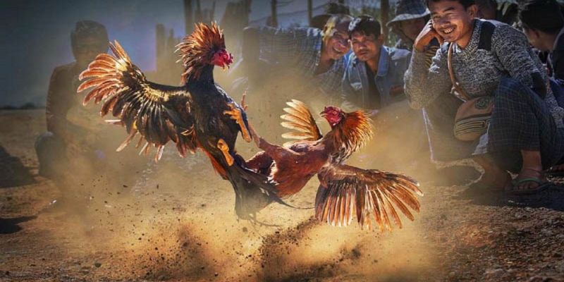 Banner www.tplaw.com.vn