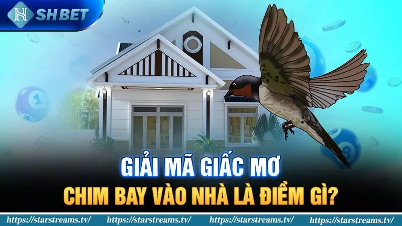 Banner www.tplaw.com.vn