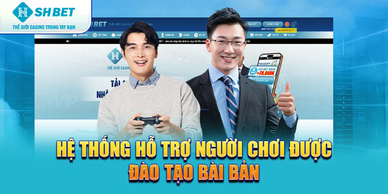 Banner www.tplaw.com.vn