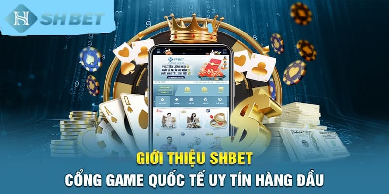 Banner www.tplaw.com.vn