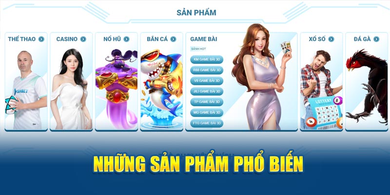 Banner www.tplaw.com.vn