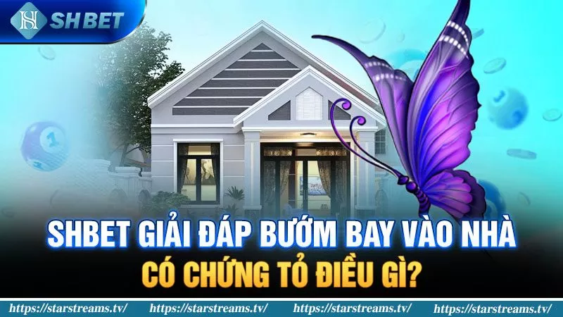 Banner www.tplaw.com.vn