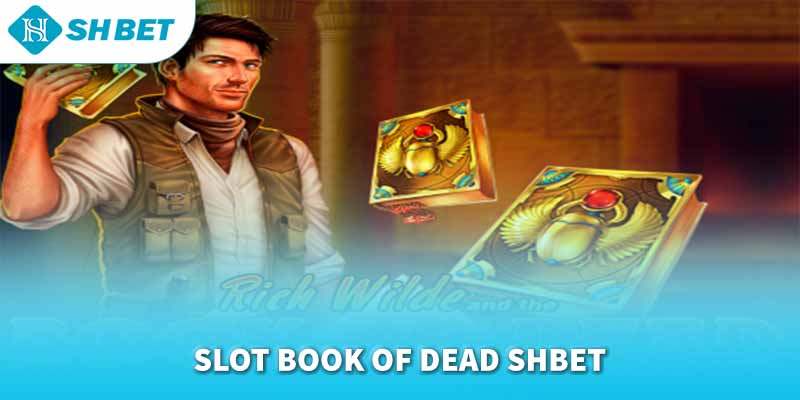 Banner www.tplaw.com.vn