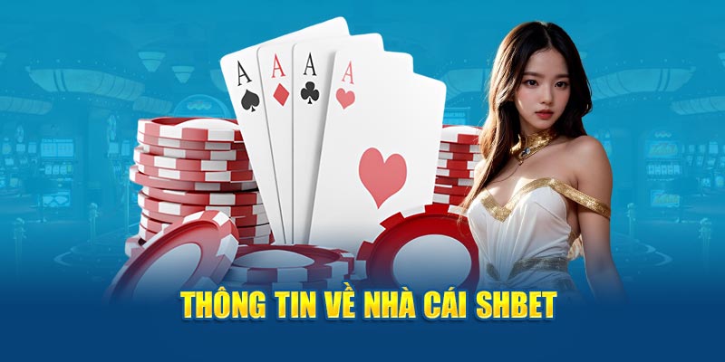 Banner www.tplaw.com.vn