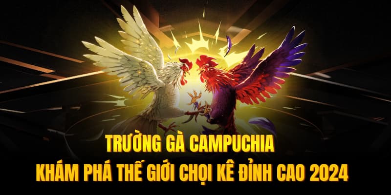 Banner www.tplaw.com.vn