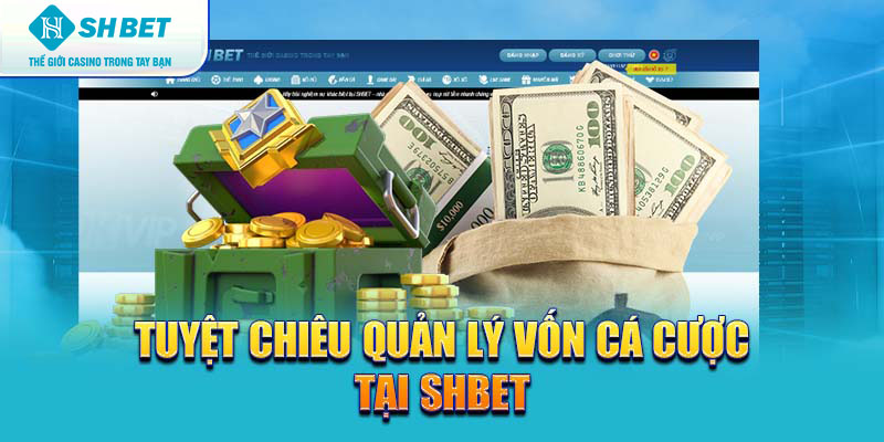 Banner www.tplaw.com.vn