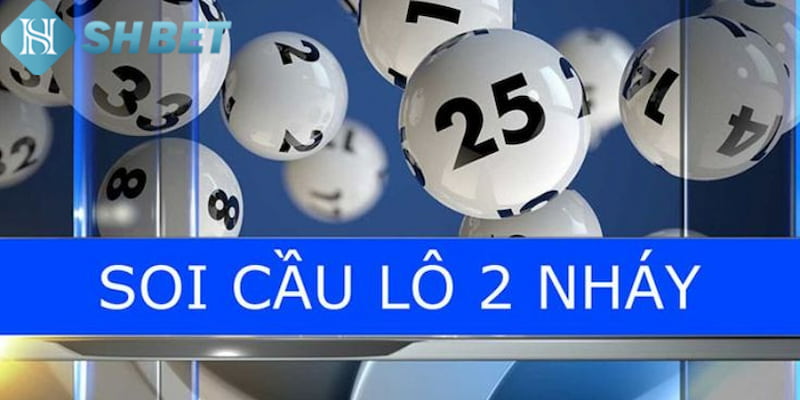 Banner www.tplaw.com.vn