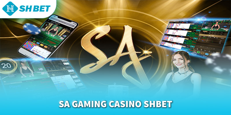 Banner www.tplaw.com.vn